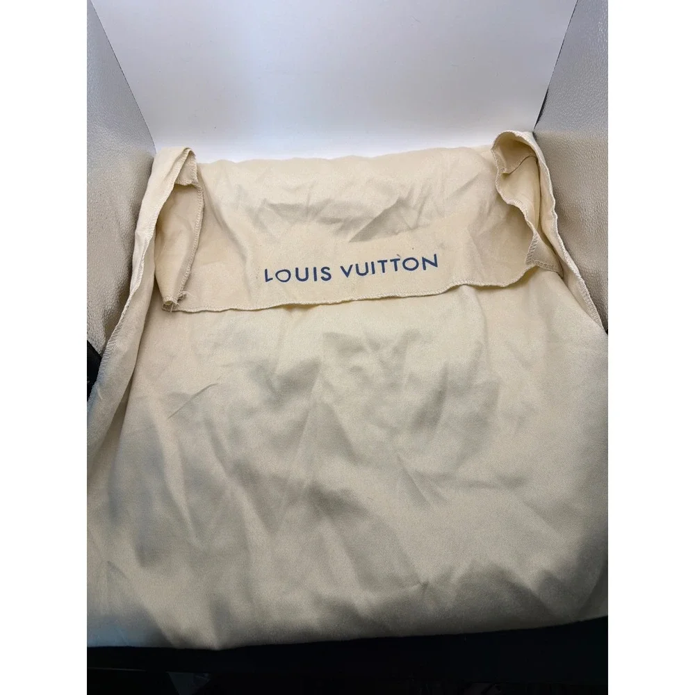 Louis Vuitton authentic louis